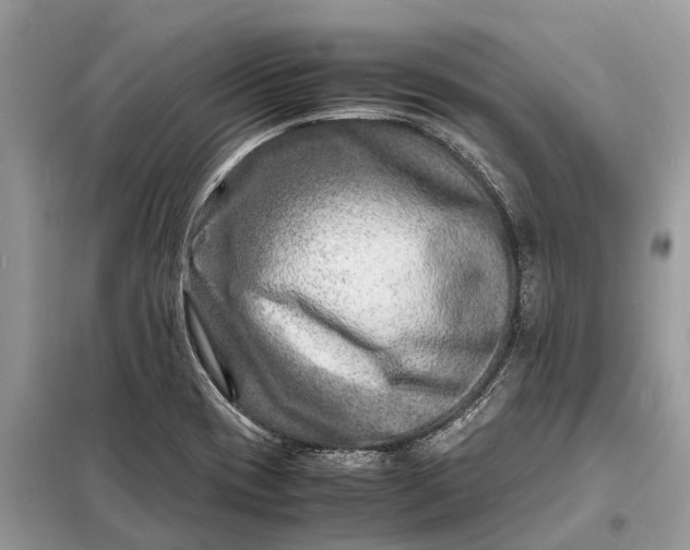 X0000098221417200805081147