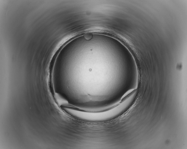 X0000098221418200805081147