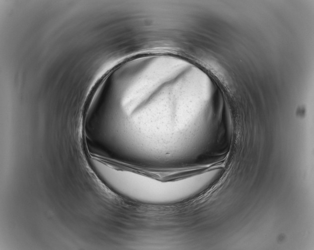 X0000098221420200805081148