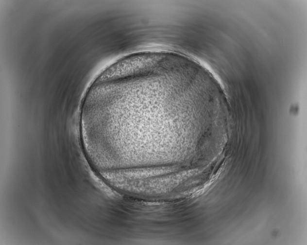 X0000098221421200805081148