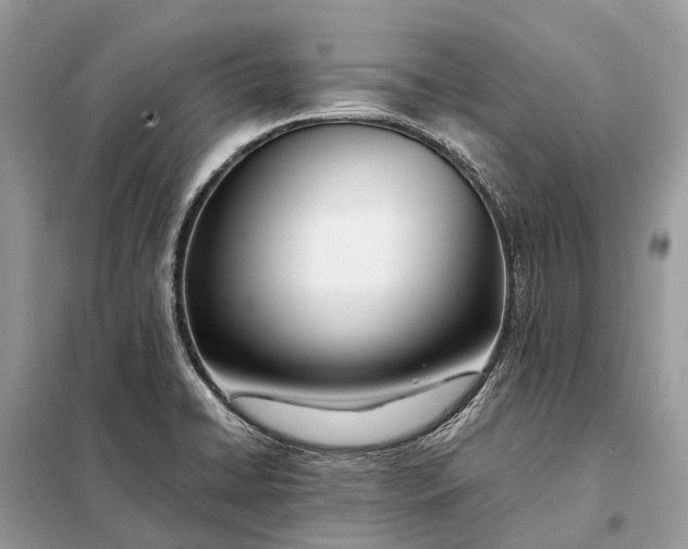 X0000098221422200805081148