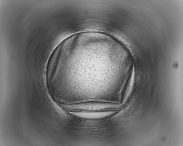 X0000098221423200805081148