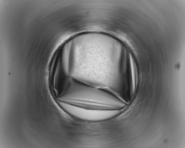 X0000098221424200805081148