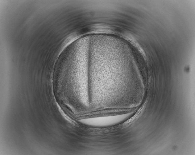 X0000098221425200805081148