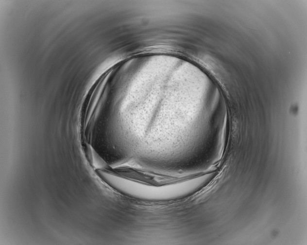 X0000098221426200805081148