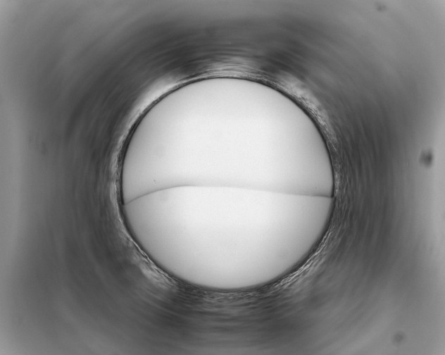 X0000098221427200805081148