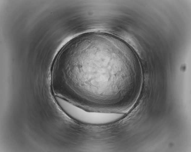 X0000098221428200805081148