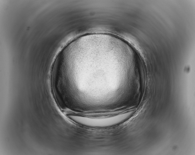 X0000098221429200805081148