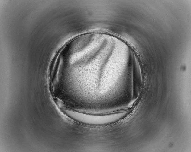 X0000098221430200805081148