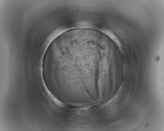 X0000098221431200805081148