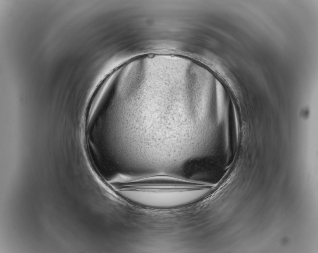 X0000098221432200805081148