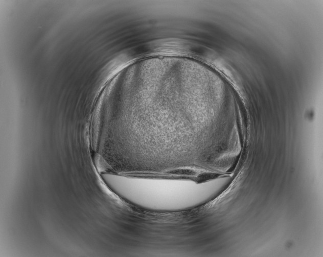 X0000098221433200805081148