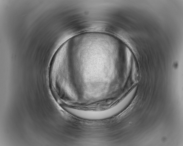 X0000098221434200805081148