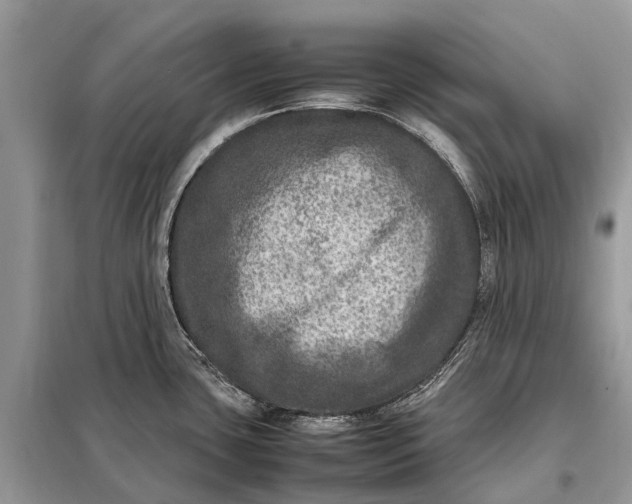 X0000098221435200805081148