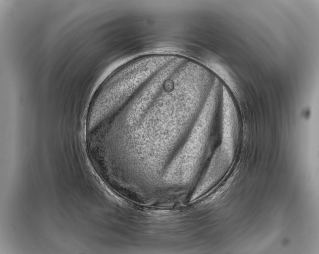 X0000098221436200805081148