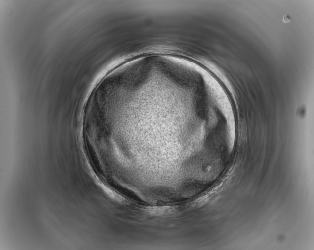 X0000098221437200805081148