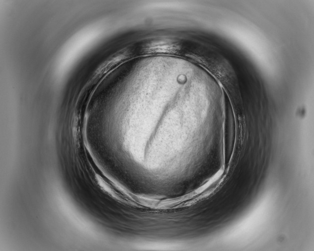 X0000098221438200805081148