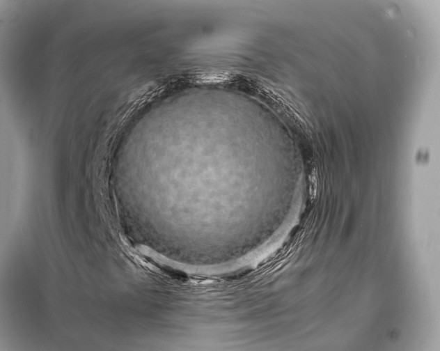 X0000098221441200805081147