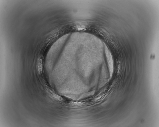 X0000098221442200805081147