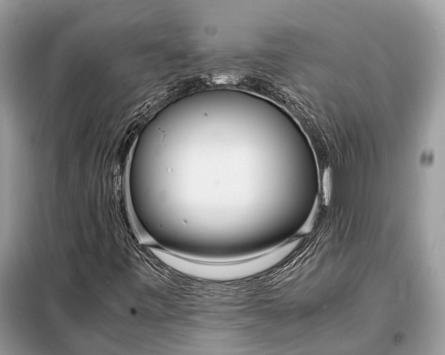 X0000098221443200805081147