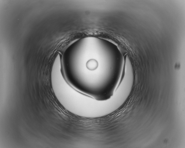 X0000098221444200805081147