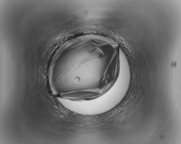 X0000098221445200805081147