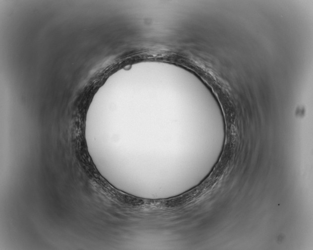 X0000098221447200805081147