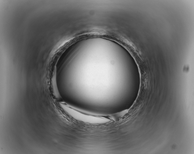 X0000098221448200805081147