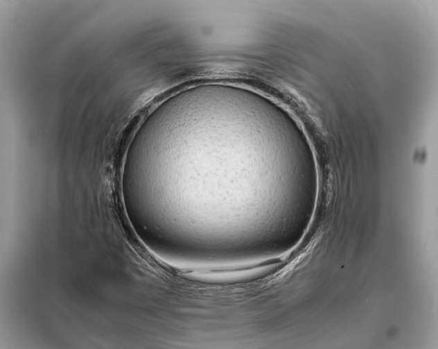 X0000098221449200805081147