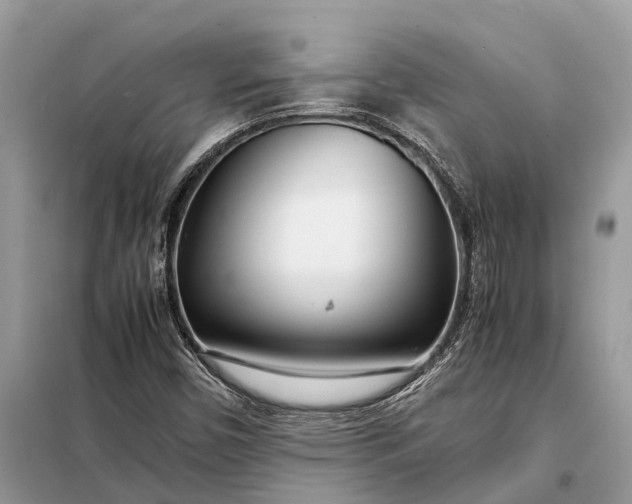 X0000098221450200805081147