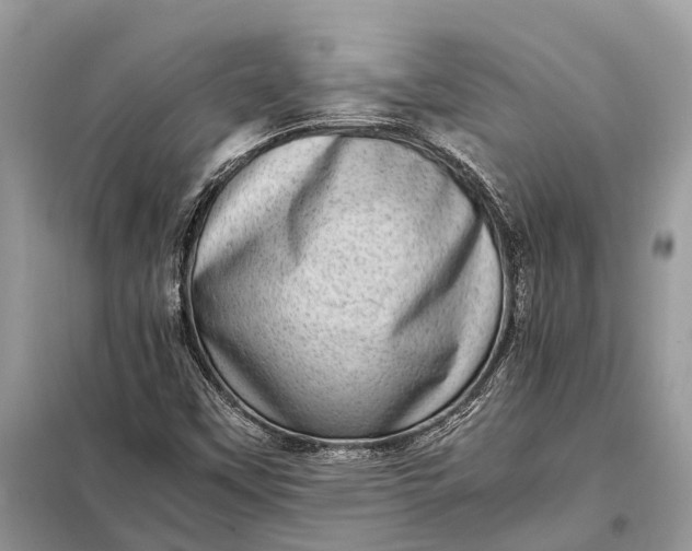 X0000098221451200805081147