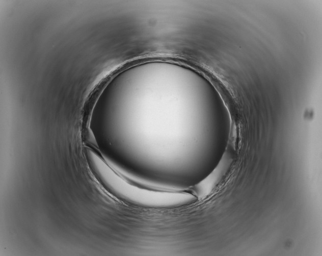 X0000098221452200805081147