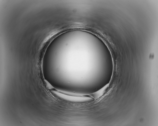 X0000098221453200805081147