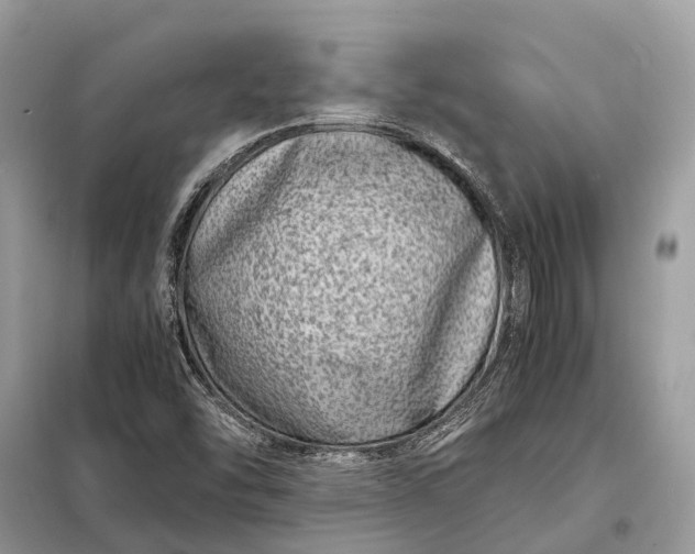 X0000098221454200805081147