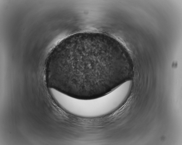 X0000098221455200805081147