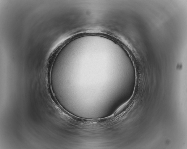 X0000098221456200805081147