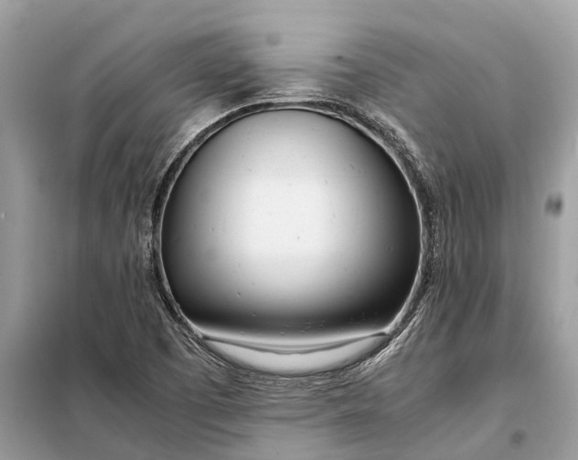 X0000098221457200805081147