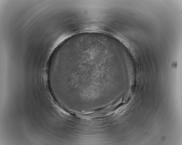 X0000098221458200805081147