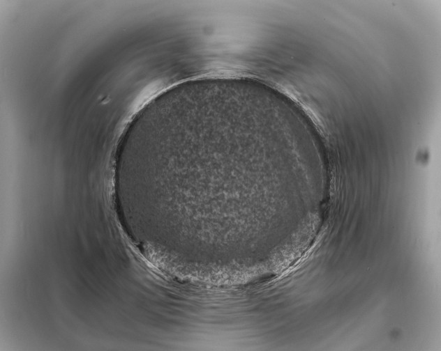 X0000098221459200805081147