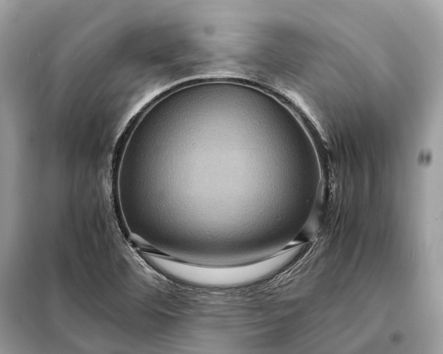 X0000098221460200805081147