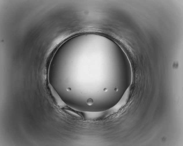 X0000098221461200805081147