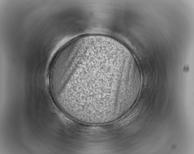 X0000098221462200805081147