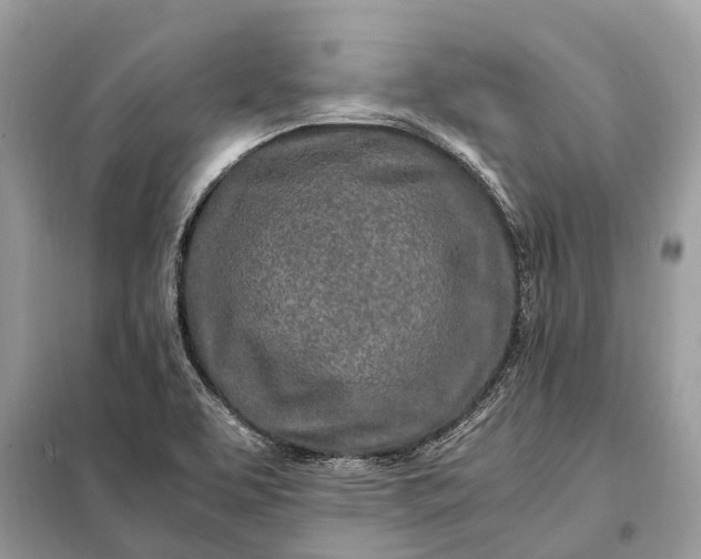 X0000098221463200805081147