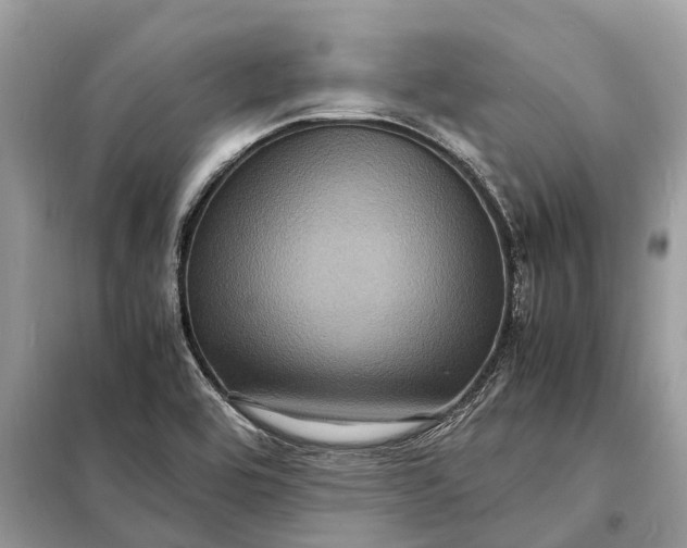 X0000098221464200805081147