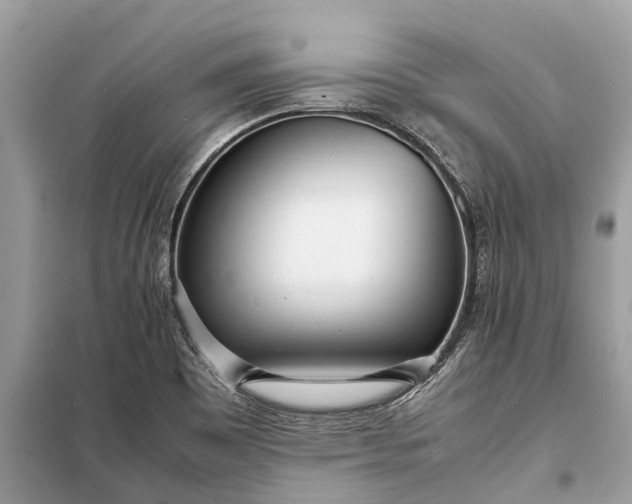 X0000098221465200805081147