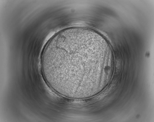 X0000098221466200805081147