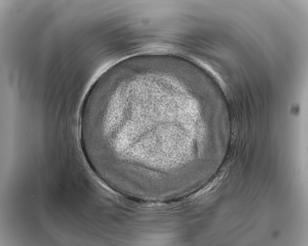 X0000098221467200805081147