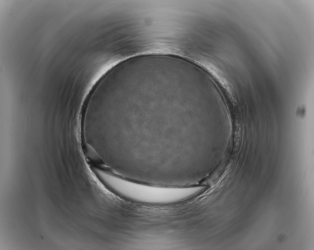 X0000098221468200805081147