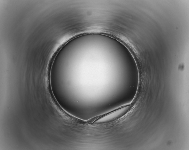 X0000098221469200805081147