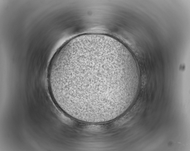 X0000098221470200805081147